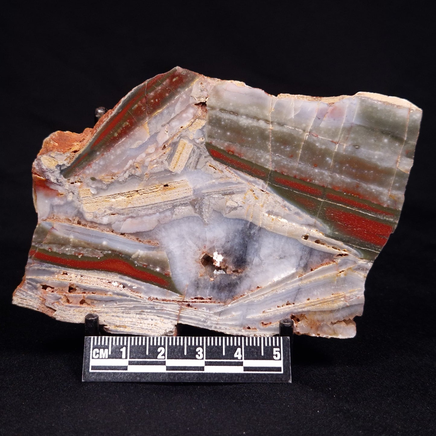 STROMATOLITE, Jerrinah Formation, Proterozoic, Australia ZJF068