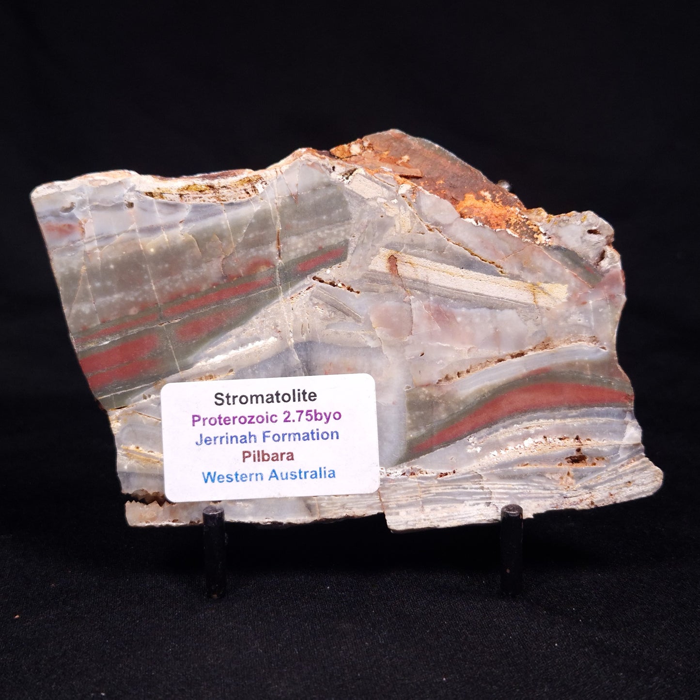 STROMATOLITE, Jerrinah Formation, Proterozoic, Australia ZJF068