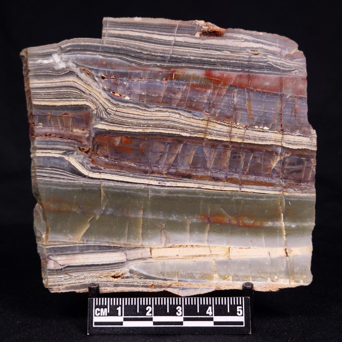 STROMATOLITE, Jerrinah Formation, Proterozoic, Australia ZJF069