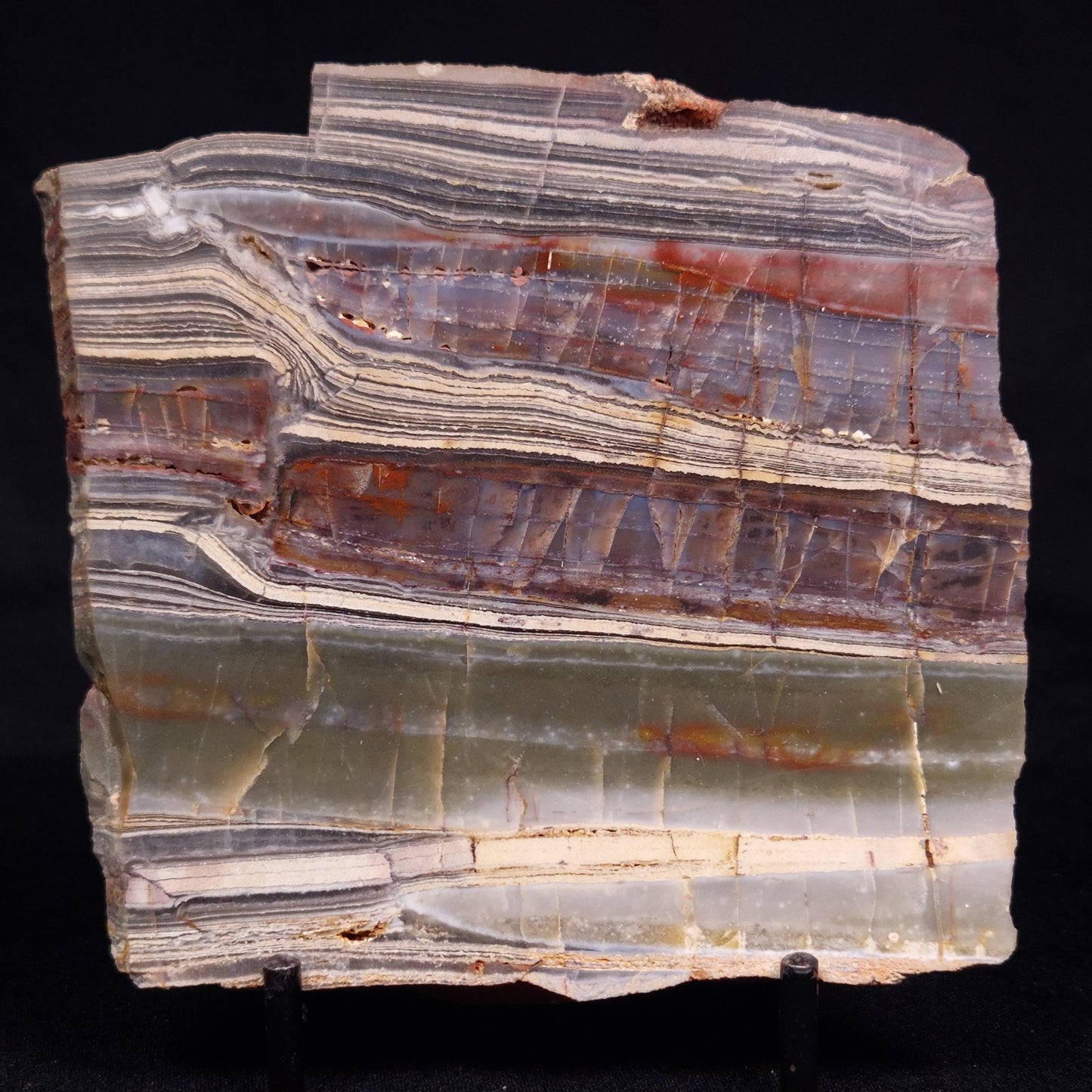 STROMATOLITE, Jerrinah Formation, Proterozoic, Australia ZJF069