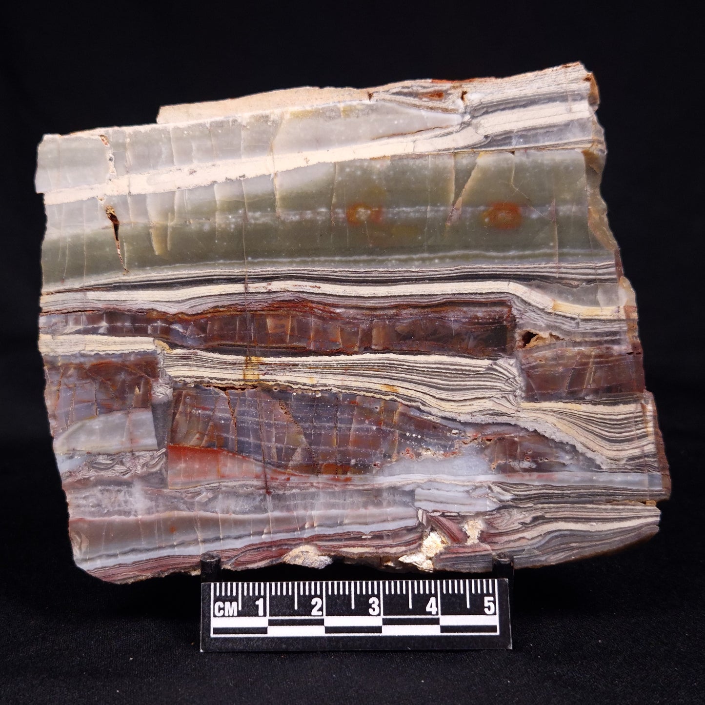 STROMATOLITE, Jerrinah Formation, Proterozoic, Australia ZJF070