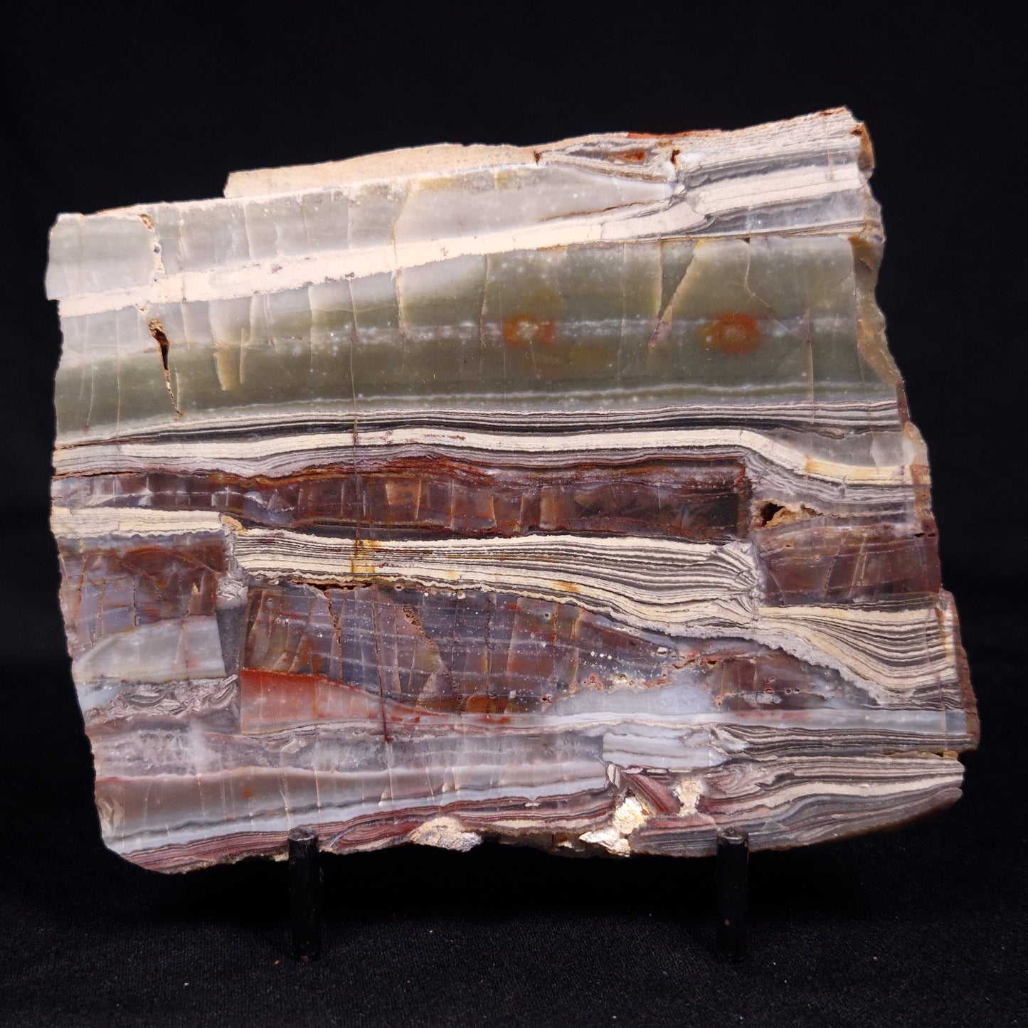 STROMATOLITE, Jerrinah Formation, Proterozoic, Australia ZJF070