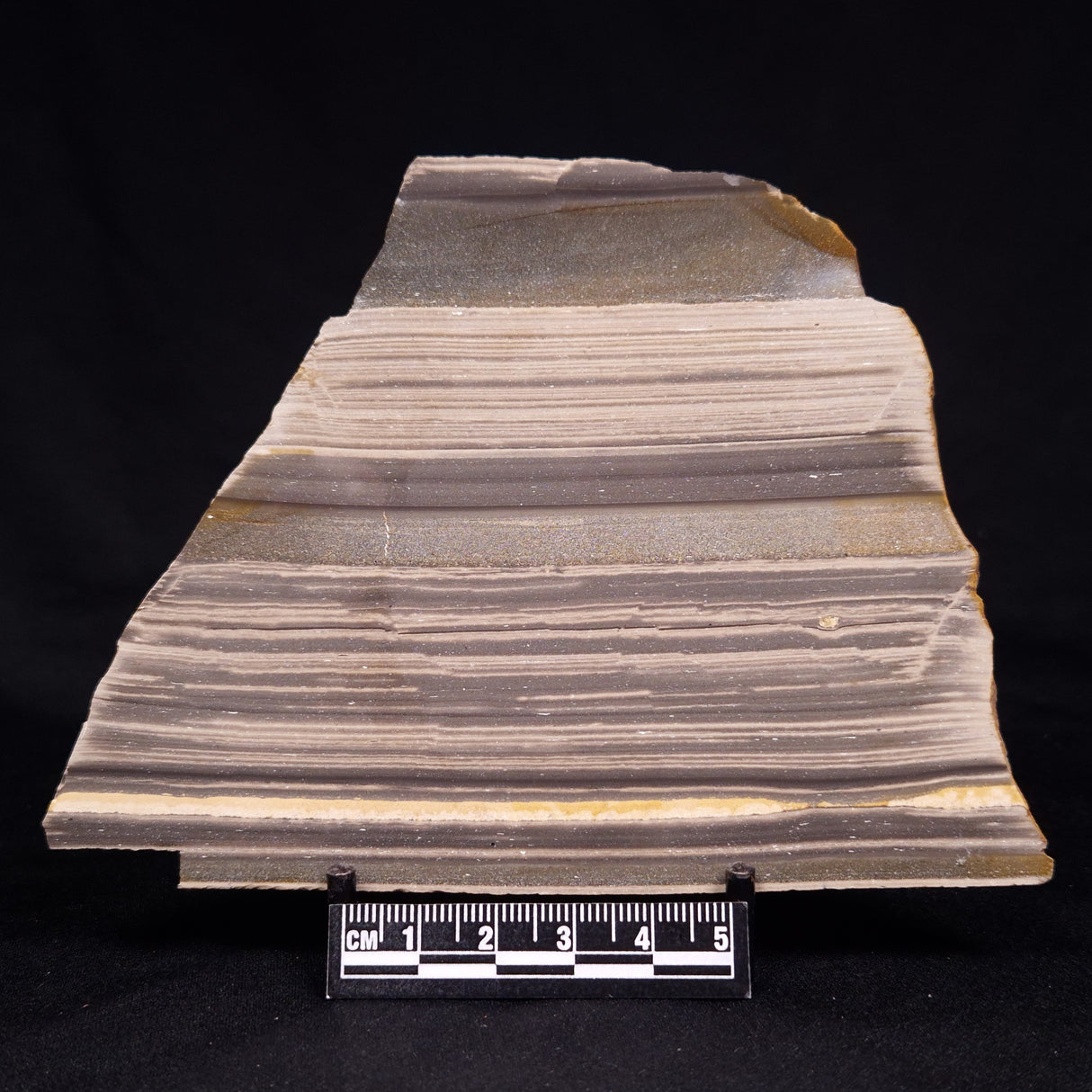 STROMATOLITE, Jerrinah Formation, Proterozoic, Australia ZJF071