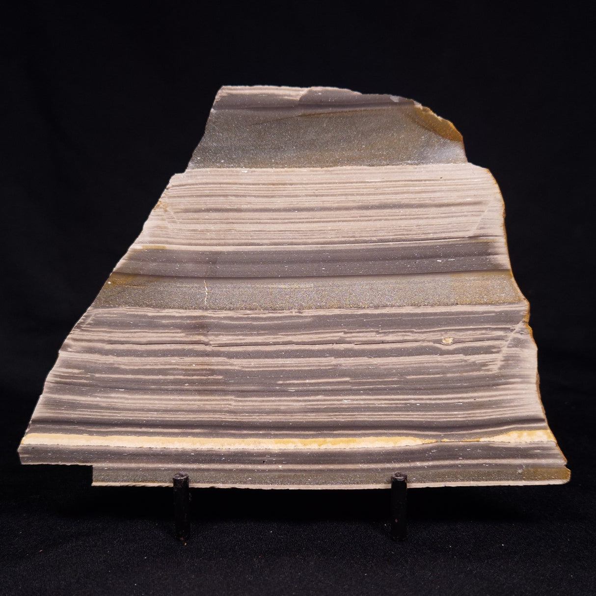 STROMATOLITE, Jerrinah Formation, Proterozoic, Australia ZJF071