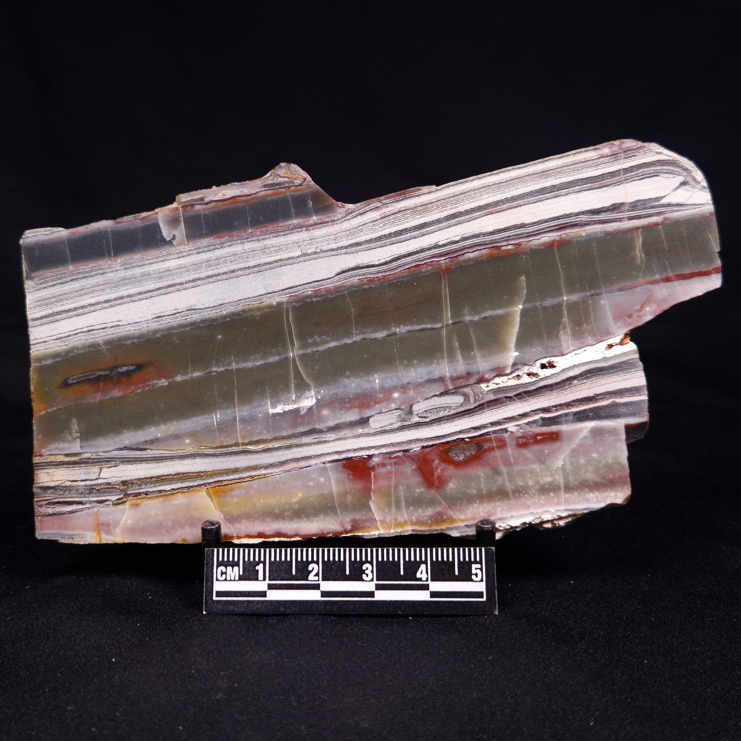 STROMATOLITE, Jerrinah Formation, Proterozoic, Australia ZJF072