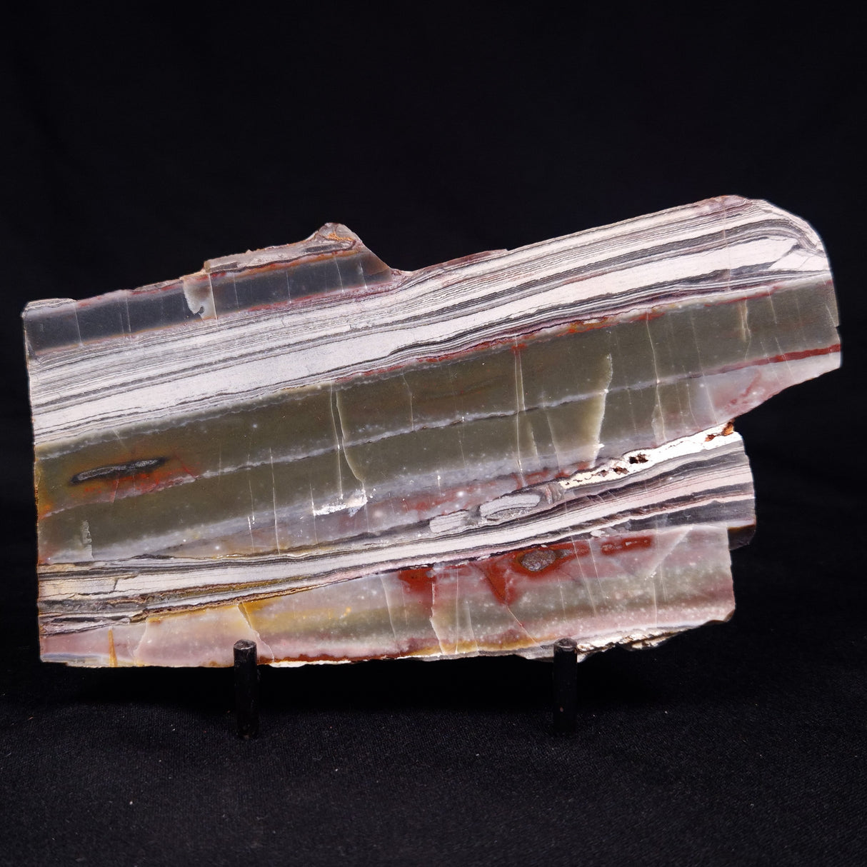 STROMATOLITE, Jerrinah Formation, Proterozoic, Australia ZJF072