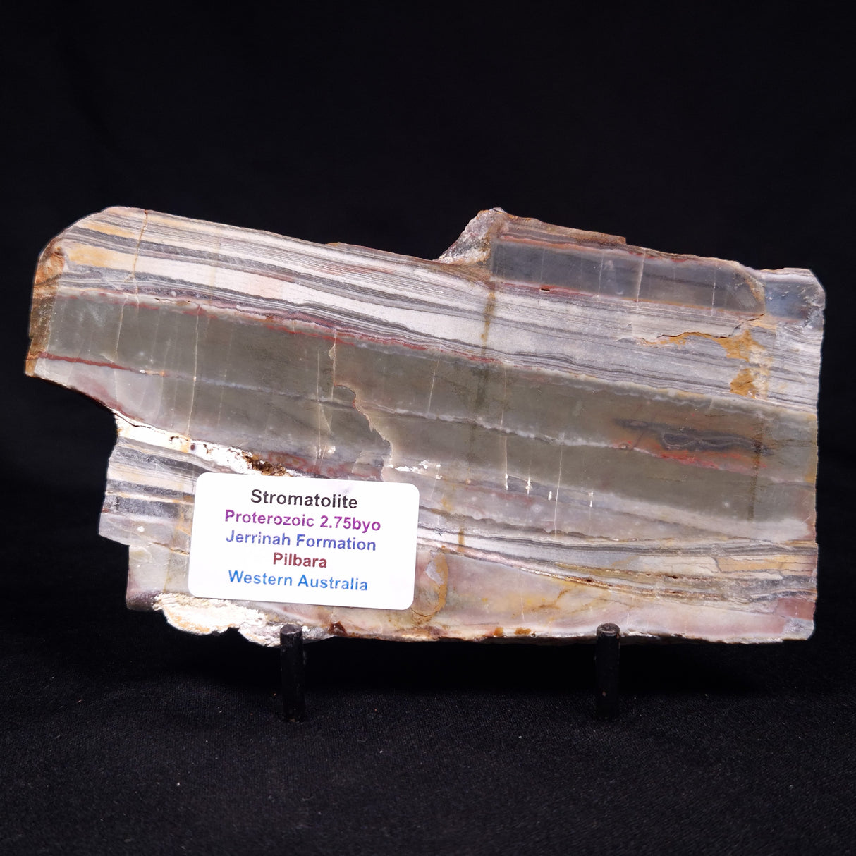 STROMATOLITE, Jerrinah Formation, Proterozoic, Australia ZJF072