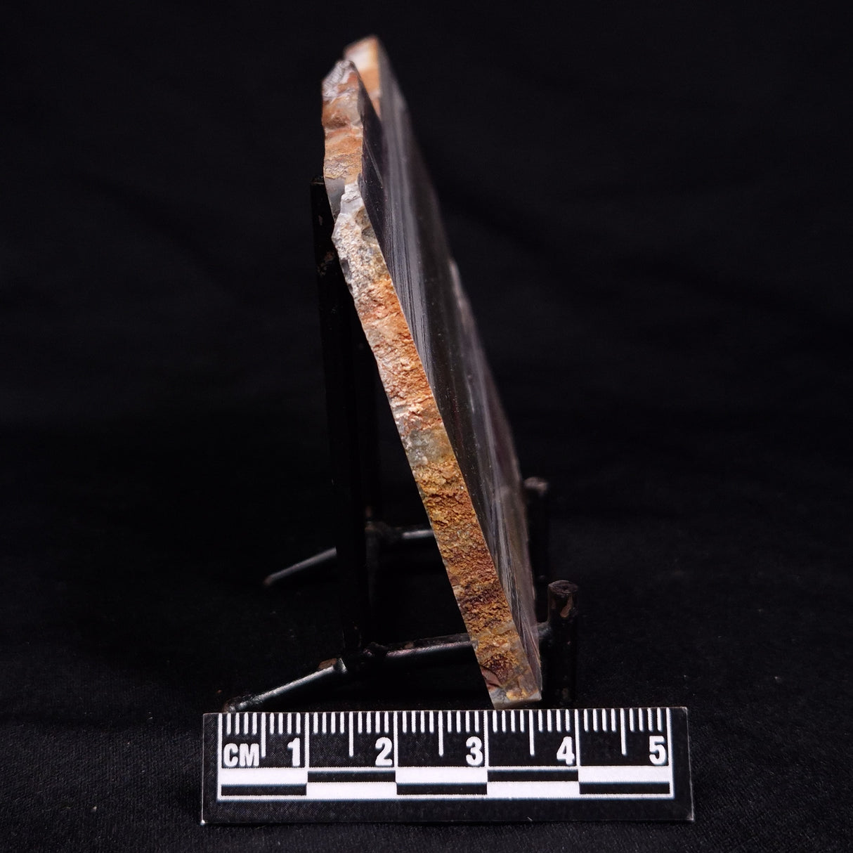 STROMATOLITE, Jerrinah Formation, Proterozoic, Australia ZJF072