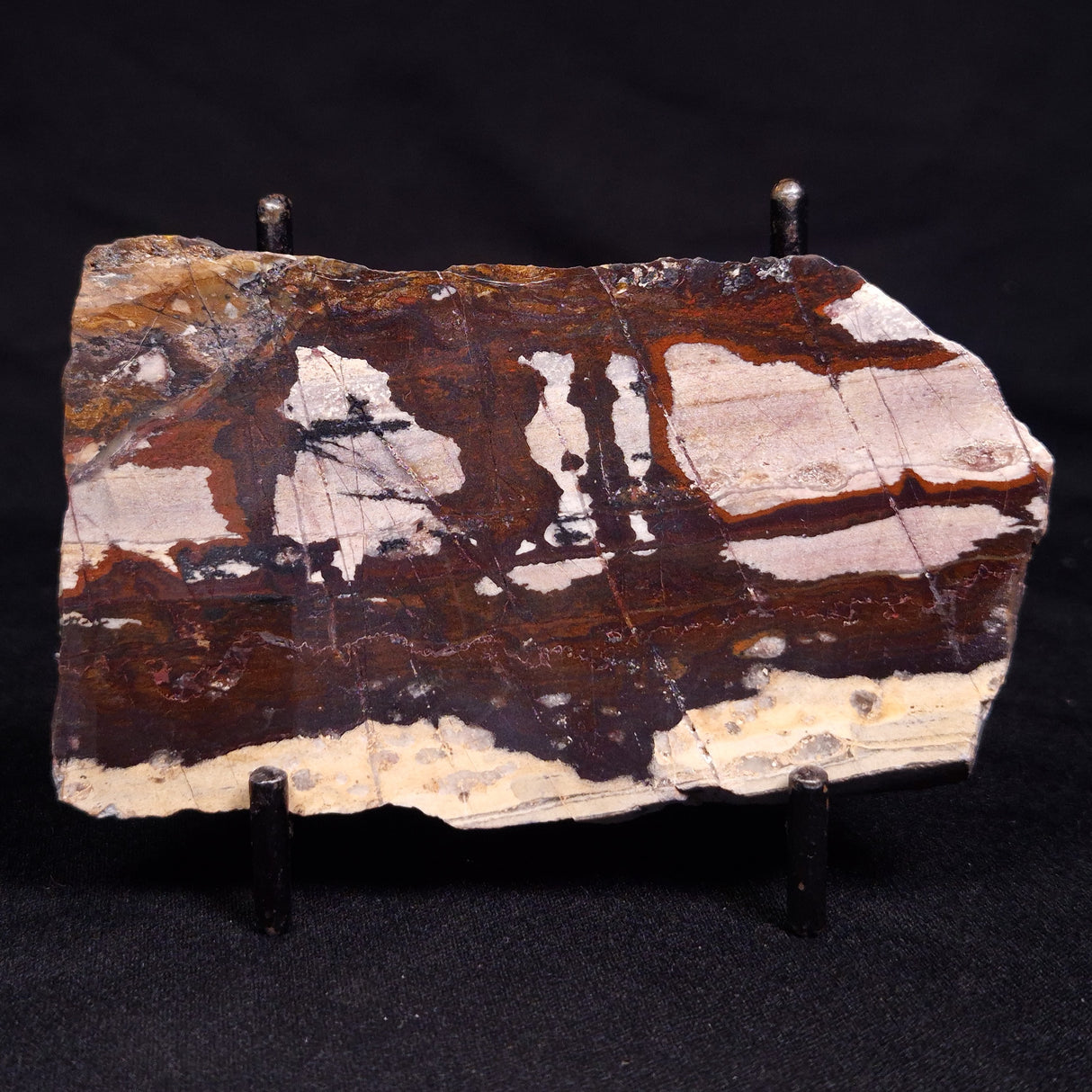 STROMATOLITE, Jerrinah Formation, Proterozoic, Australia ZJF074