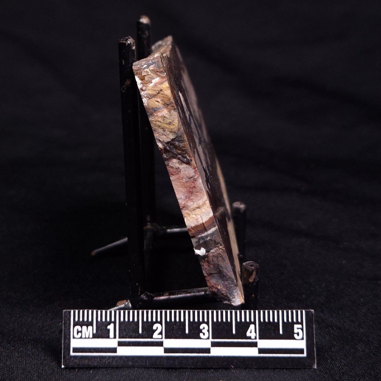STROMATOLITE, Jerrinah Formation, Proterozoic, Australia ZJF074
