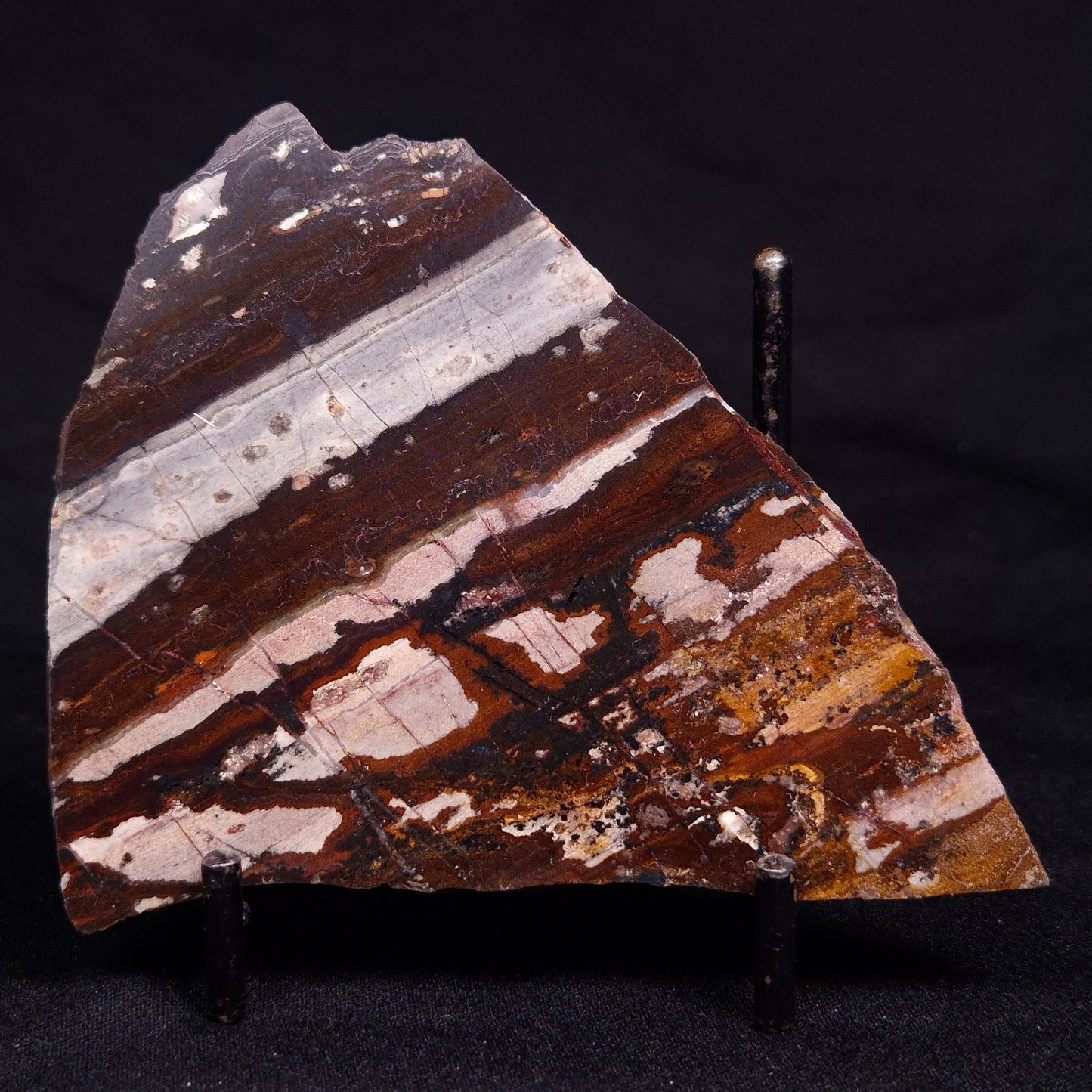 STROMATOLITE, Jerrinah Formation, Proterozoic, Australia ZJF075