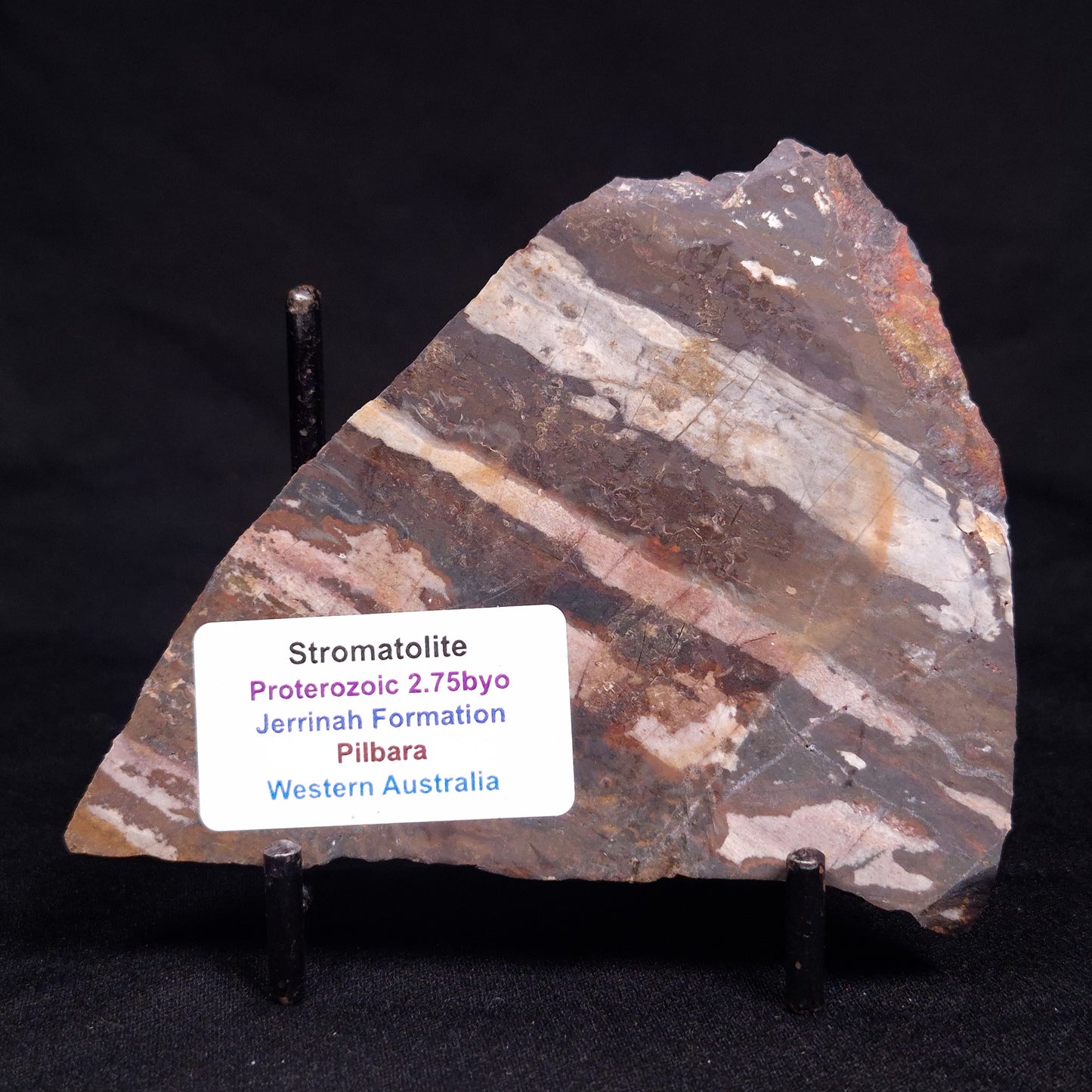 STROMATOLITE, Jerrinah Formation, Proterozoic, Australia ZJF075