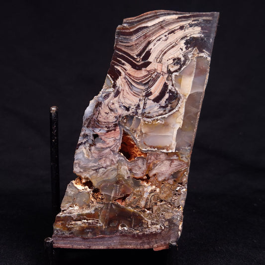 STROMATOLITE, Jerrinah Formation, Proterozoic, Australia ZJF076