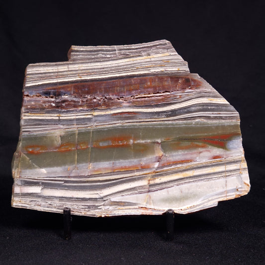 STROMATOLITE, Jerrinah Formation, Proterozoic, Australia ZJF077