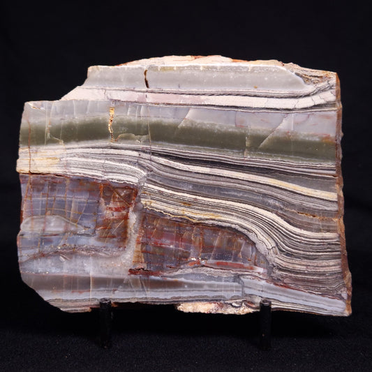 STROMATOLITE, Jerrinah Formation, Proterozoic, Australia ZJF078