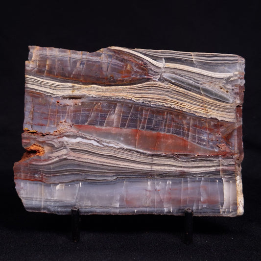 STROMATOLITE, Jerrinah Formation, Proterozoic, Australia ZJF079