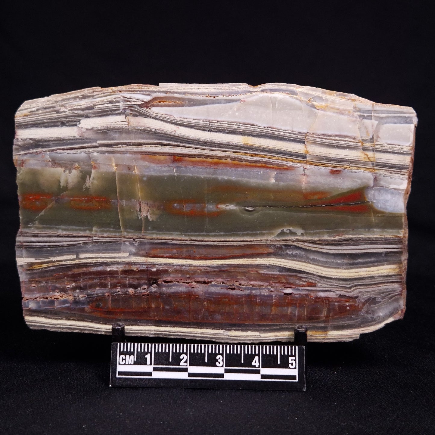 STROMATOLITE, Jerrinah Formation, Proterozoic, Australia ZJF080