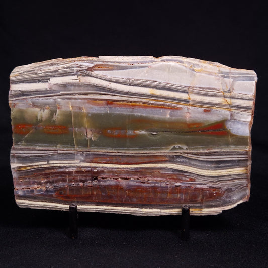 STROMATOLITE, Jerrinah Formation, Proterozoic, Australia ZJF080