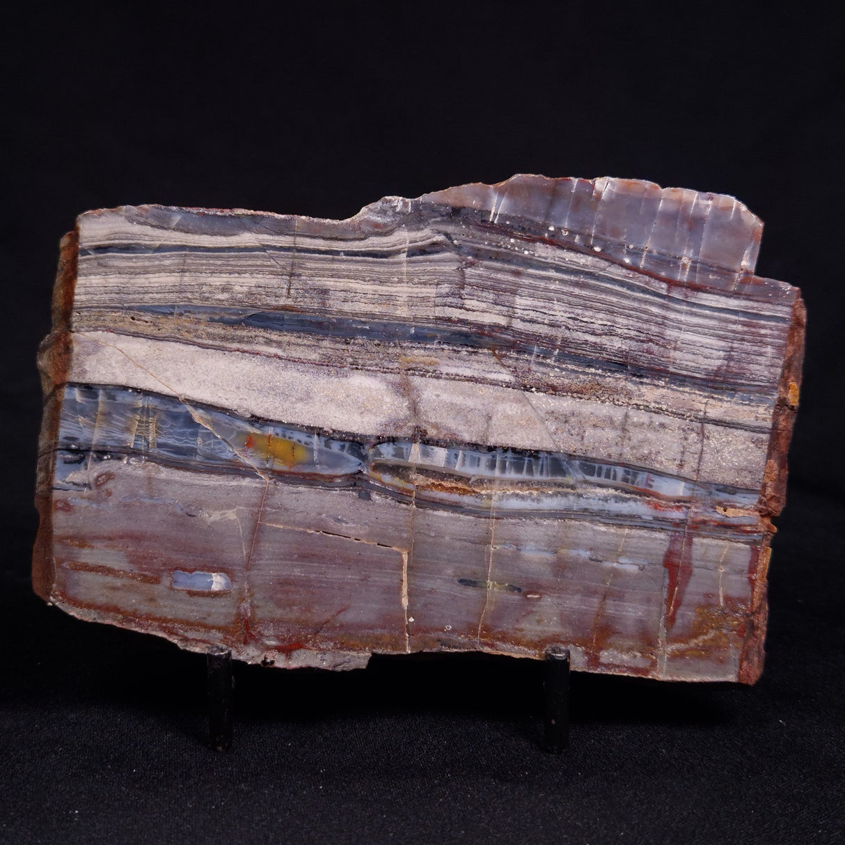 STROMATOLITE, Jerrinah Formation, Proterozoic, Australia ZJF083