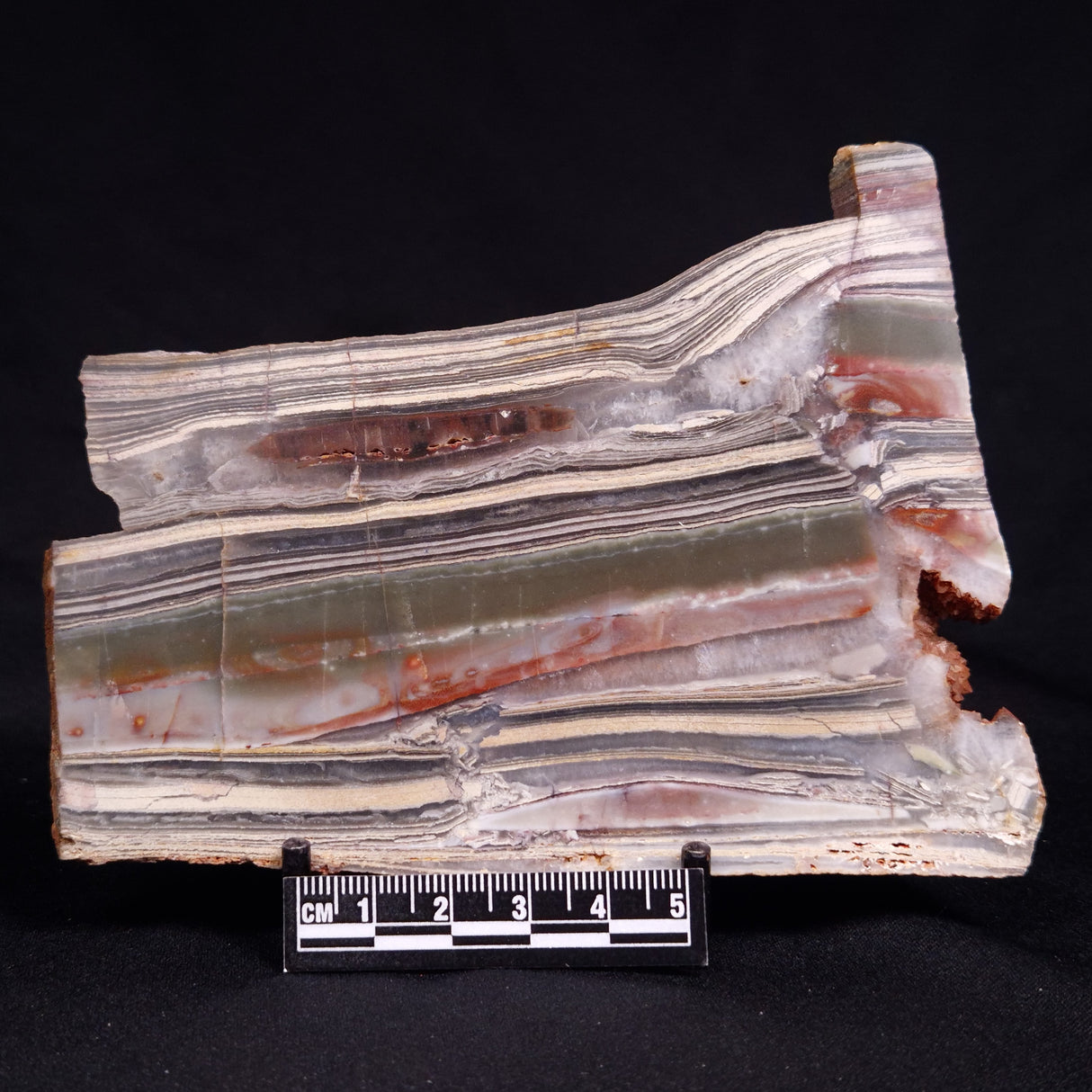 STROMATOLITE, Jerrinah Formation, Proterozoic, Australia ZJF088