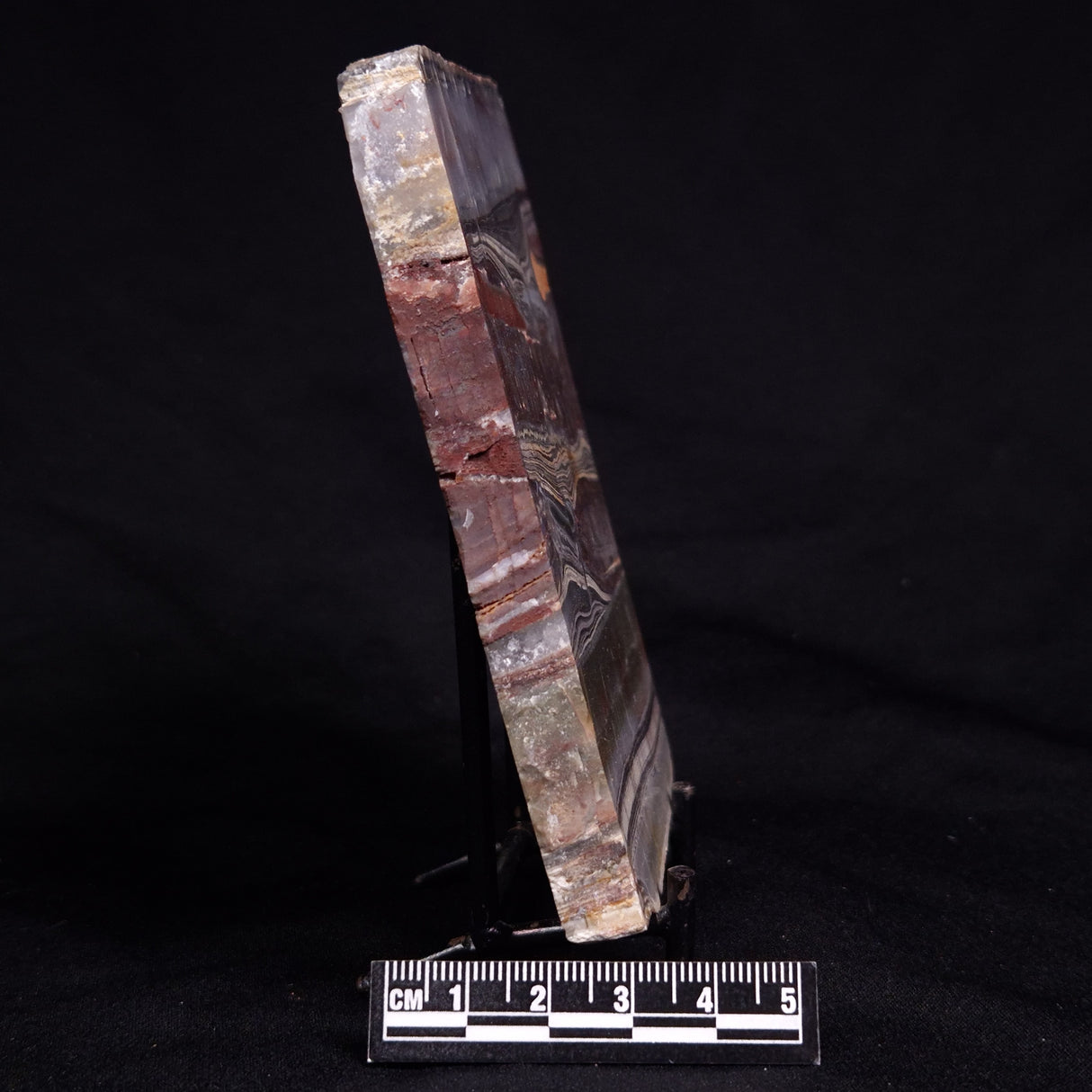 STROMATOLITE, Jerrinah Formation, Proterozoic, Australia ZJF089