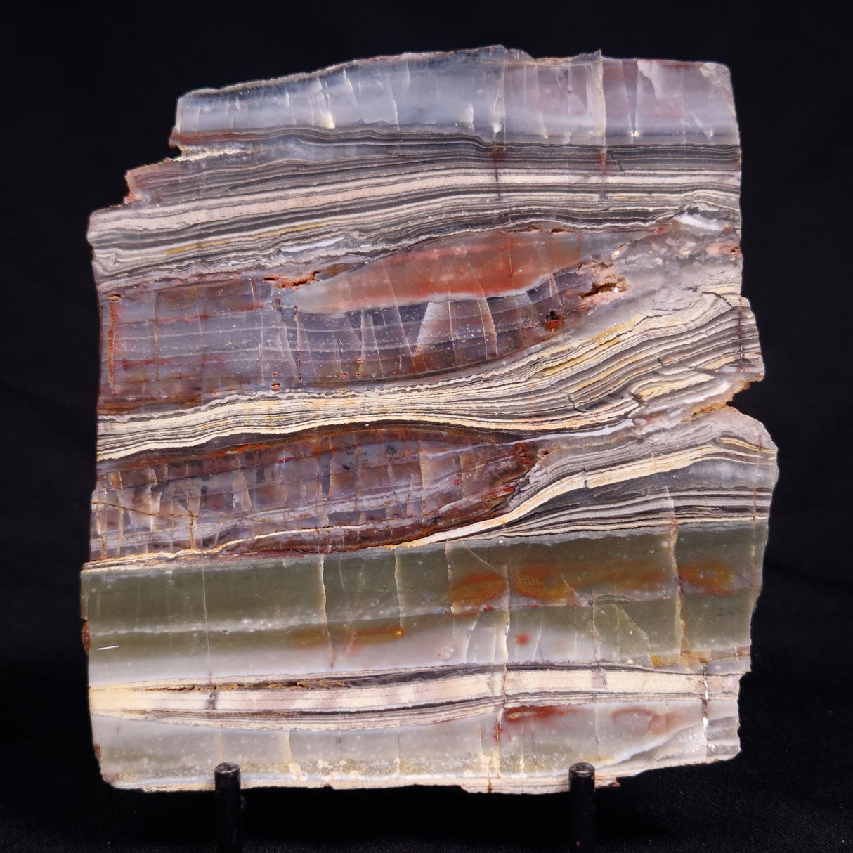 STROMATOLITE, Jerrinah Formation, Proterozoic, Australia ZJF090