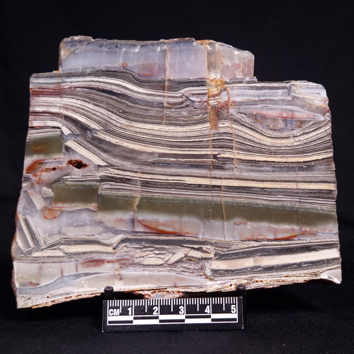 STROMATOLITE, Jerrinah Formation, Proterozoic, Australia ZJF091