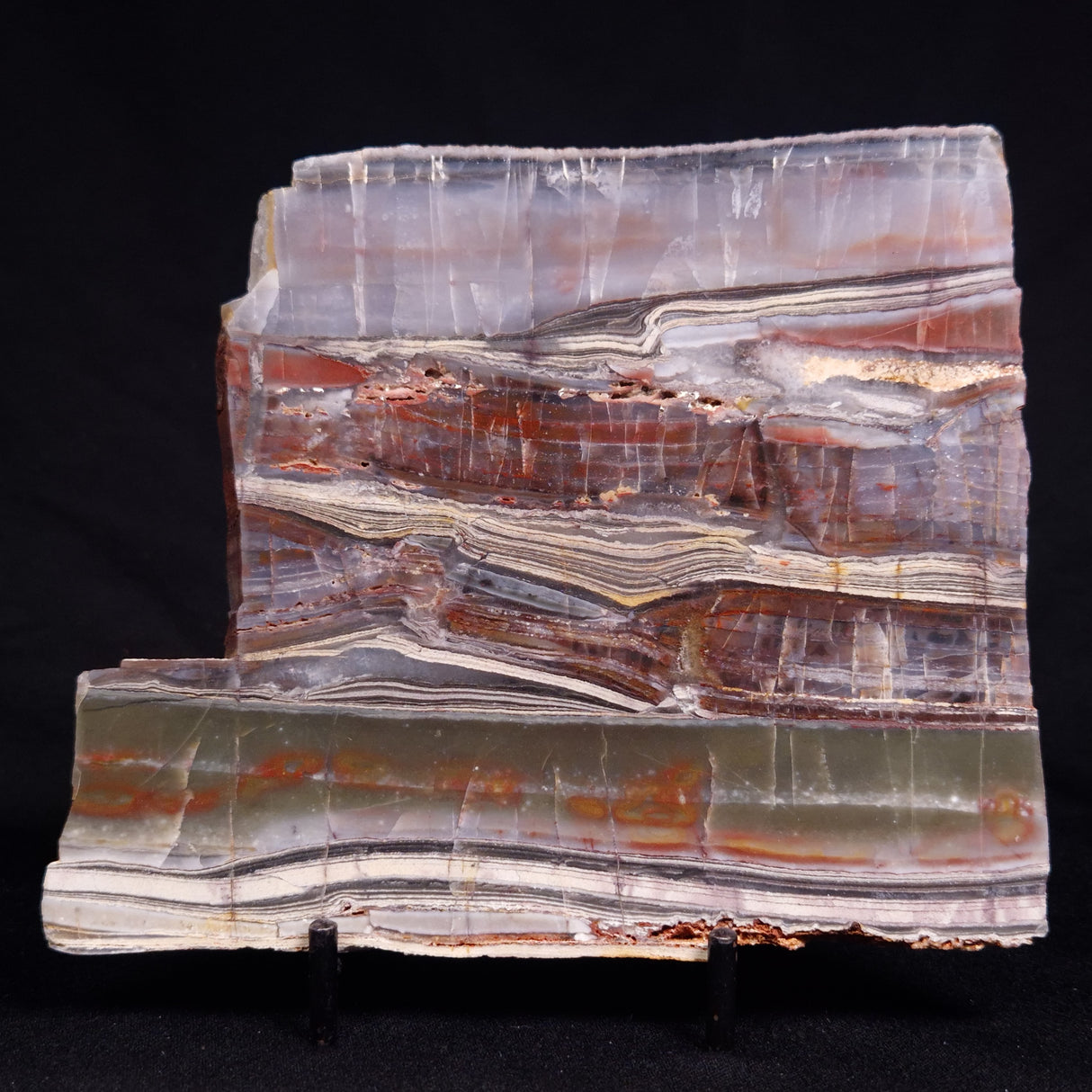 STROMATOLITE, Jerrinah Formation, Proterozoic, Australia ZJF092