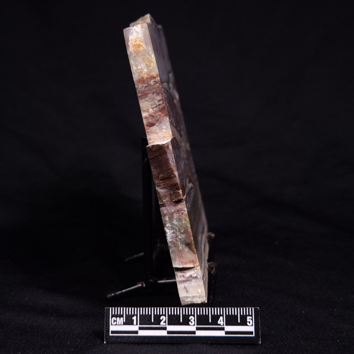 STROMATOLITE, Jerrinah Formation, Proterozoic, Australia ZJF094