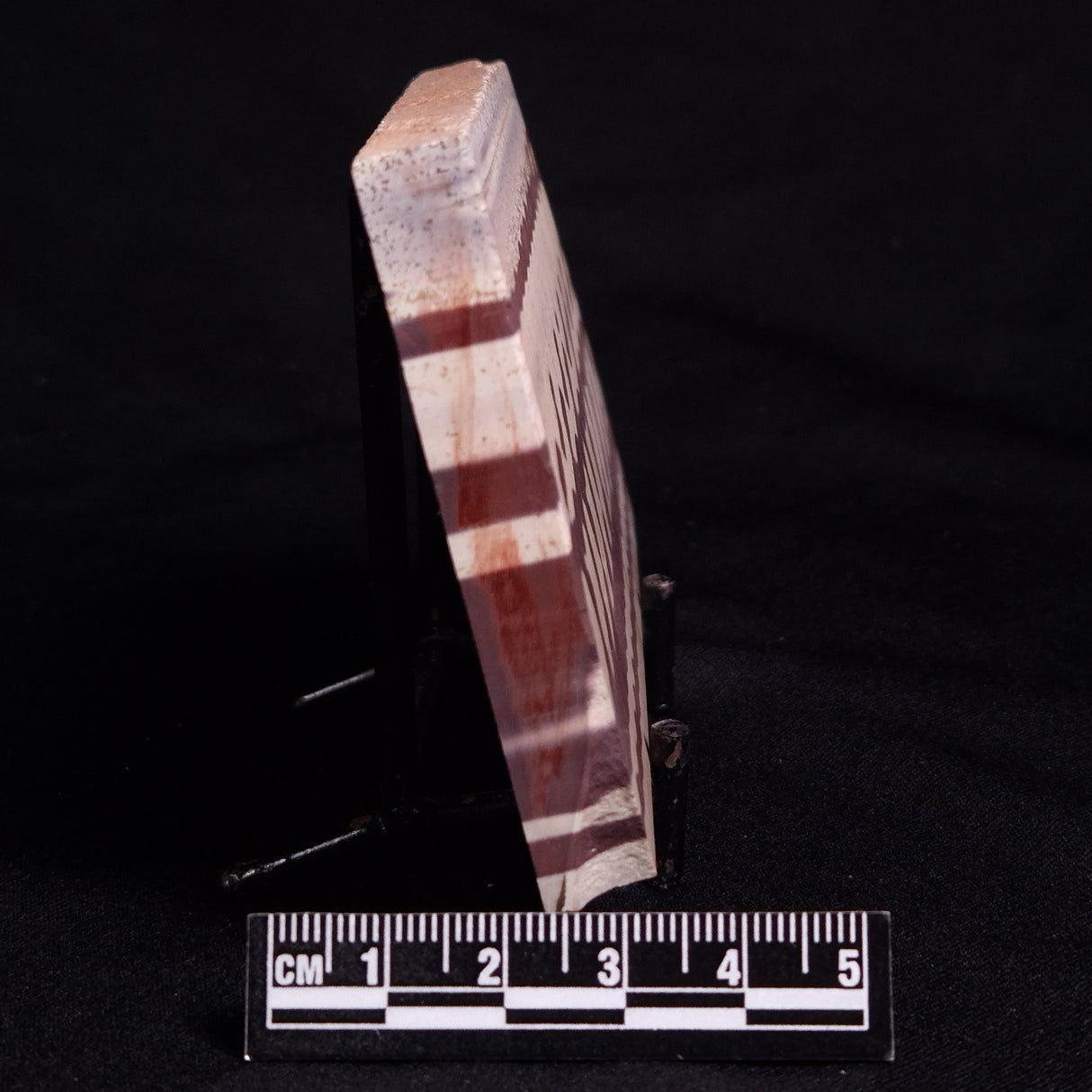 ZEBRA STONE, Australia ZZS009