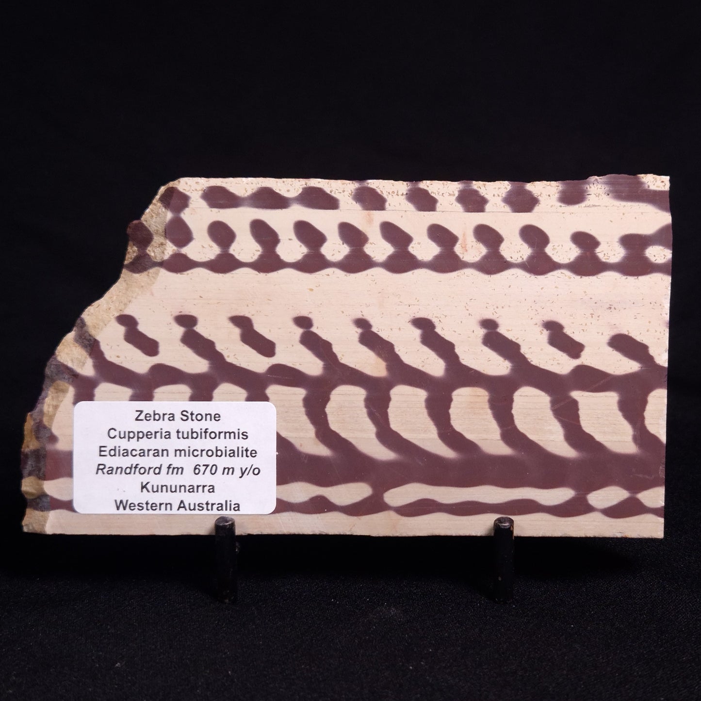 ZEBRA STONE, Australia ZZS010