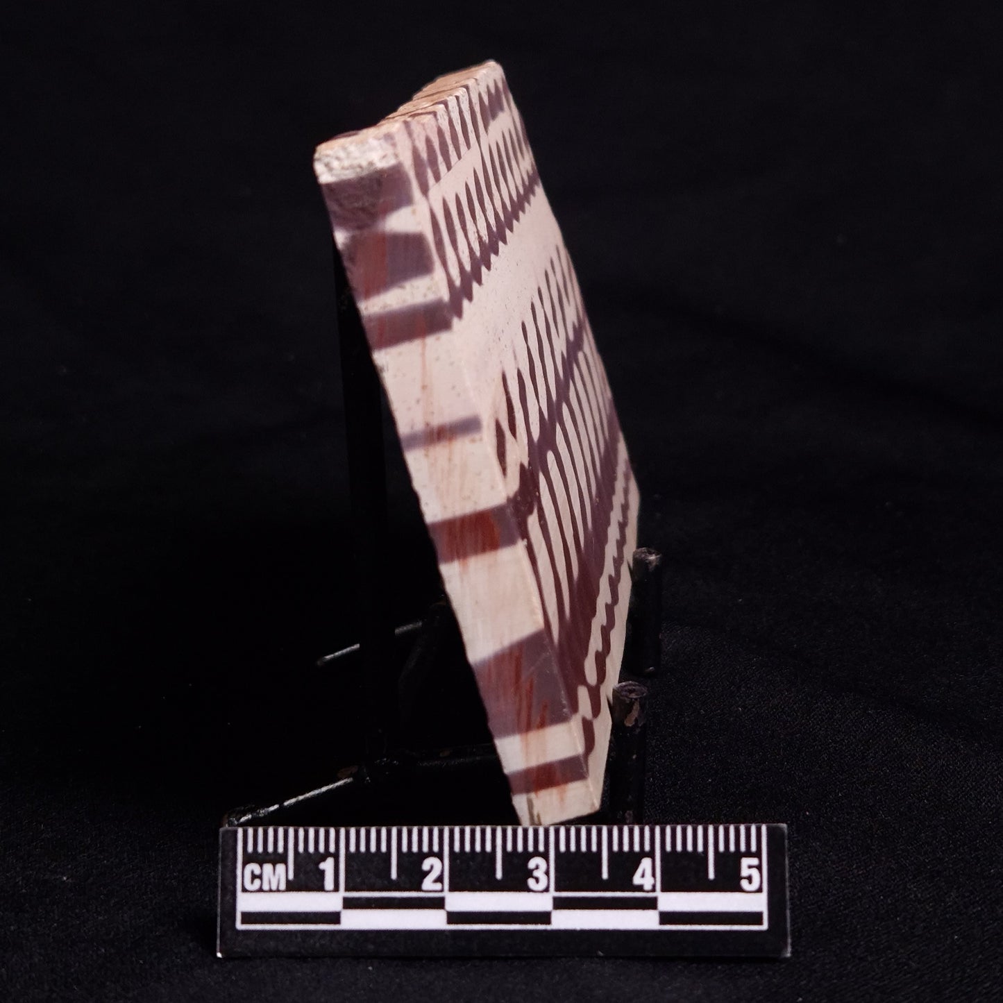 ZEBRA STONE, Australia ZZS010