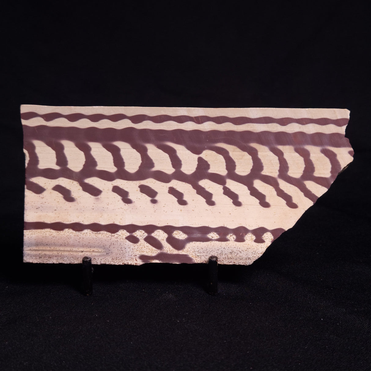 ZEBRA STONE, Australia ZZS011