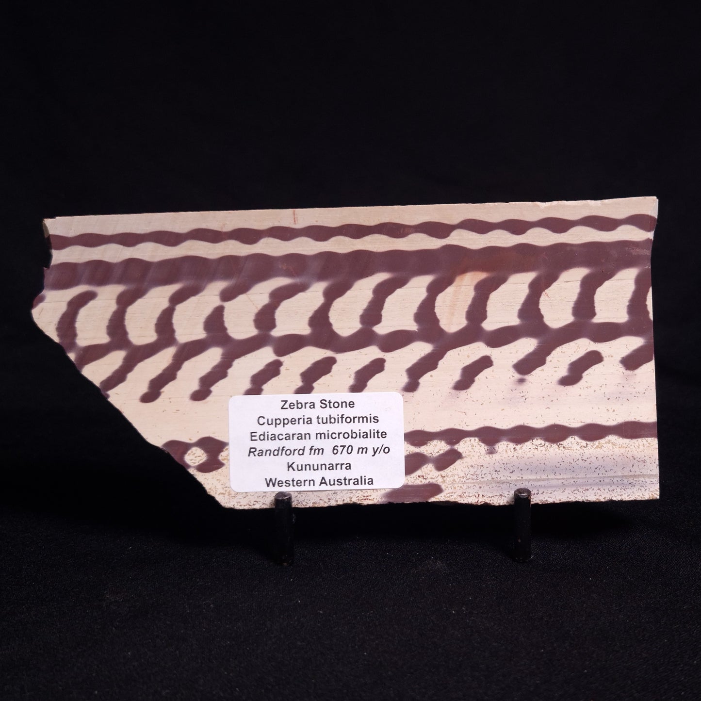 ZEBRA STONE, Australia ZZS011