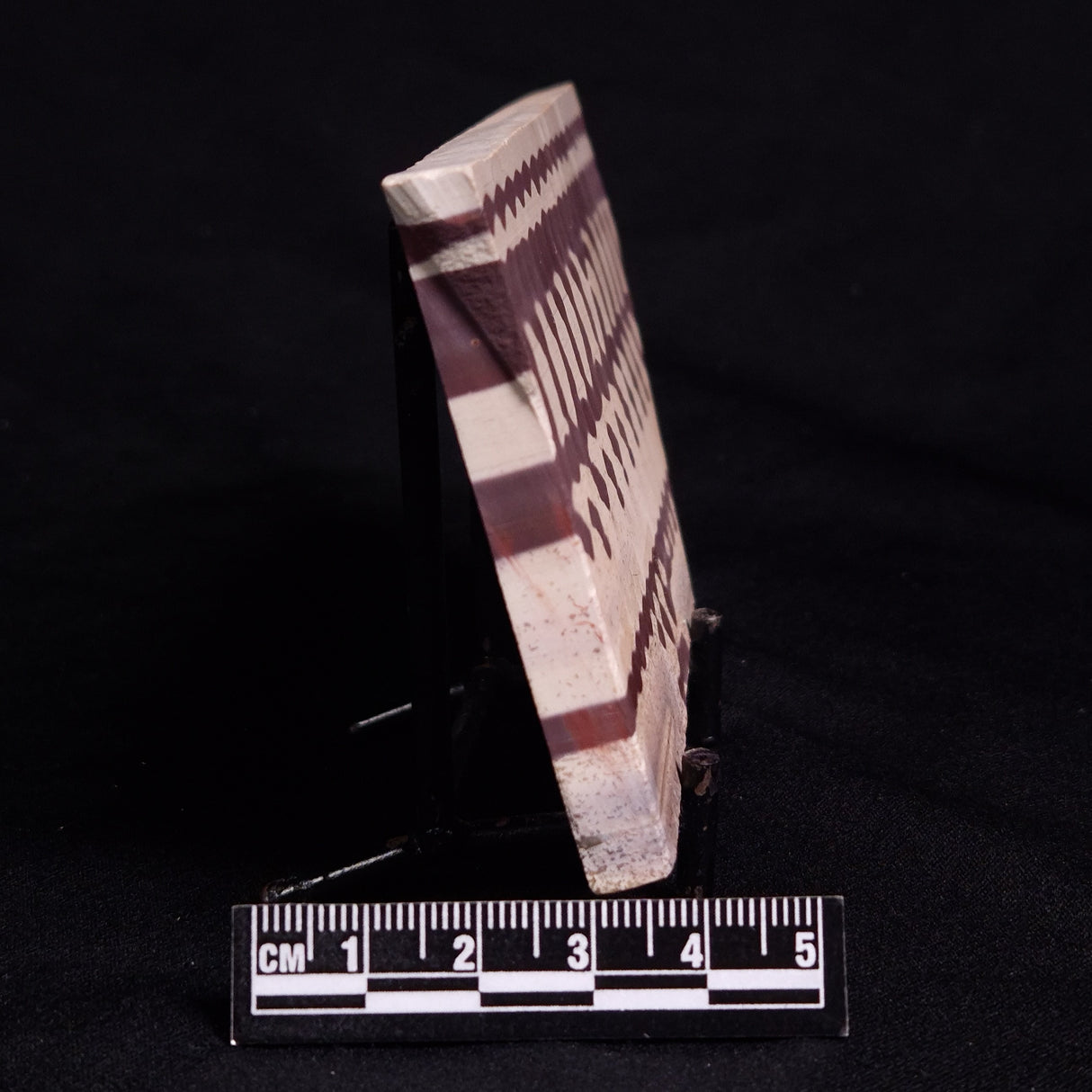 ZEBRA STONE, Australia ZZS011