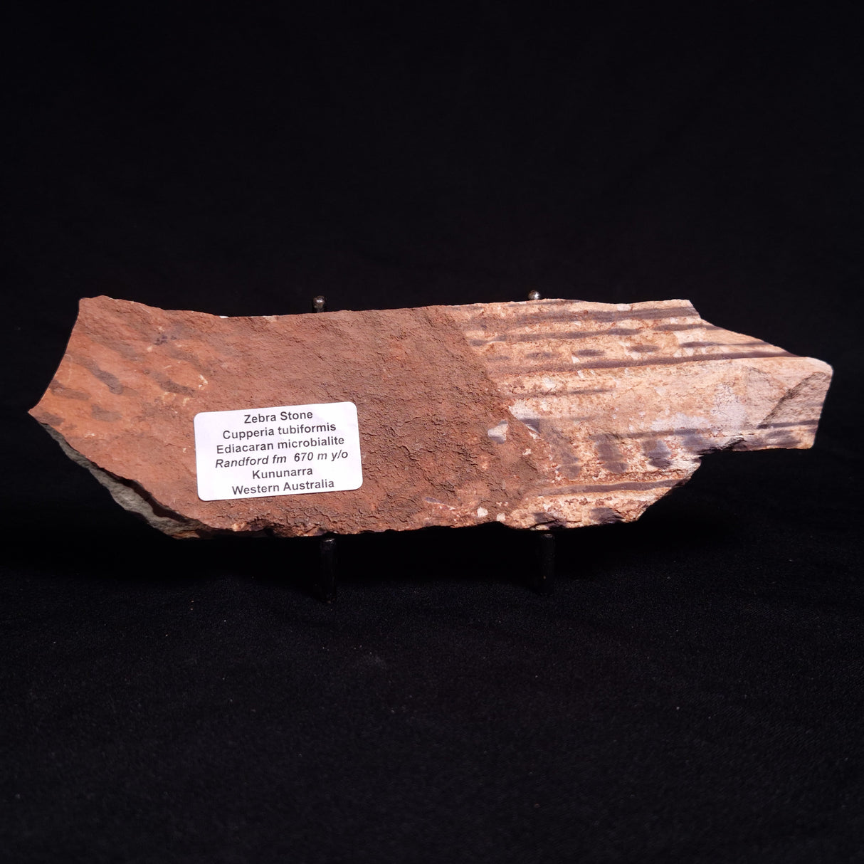 ZEBRA STONE, Australia ZZS012