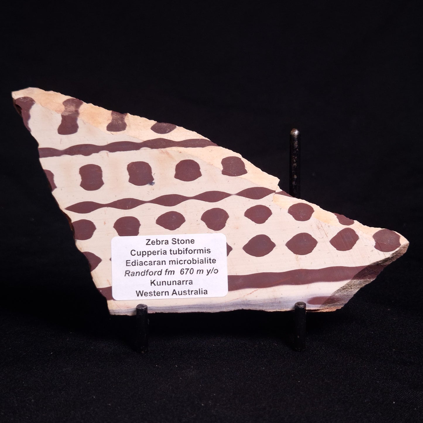 ZEBRA STONE, Australia ZZS013