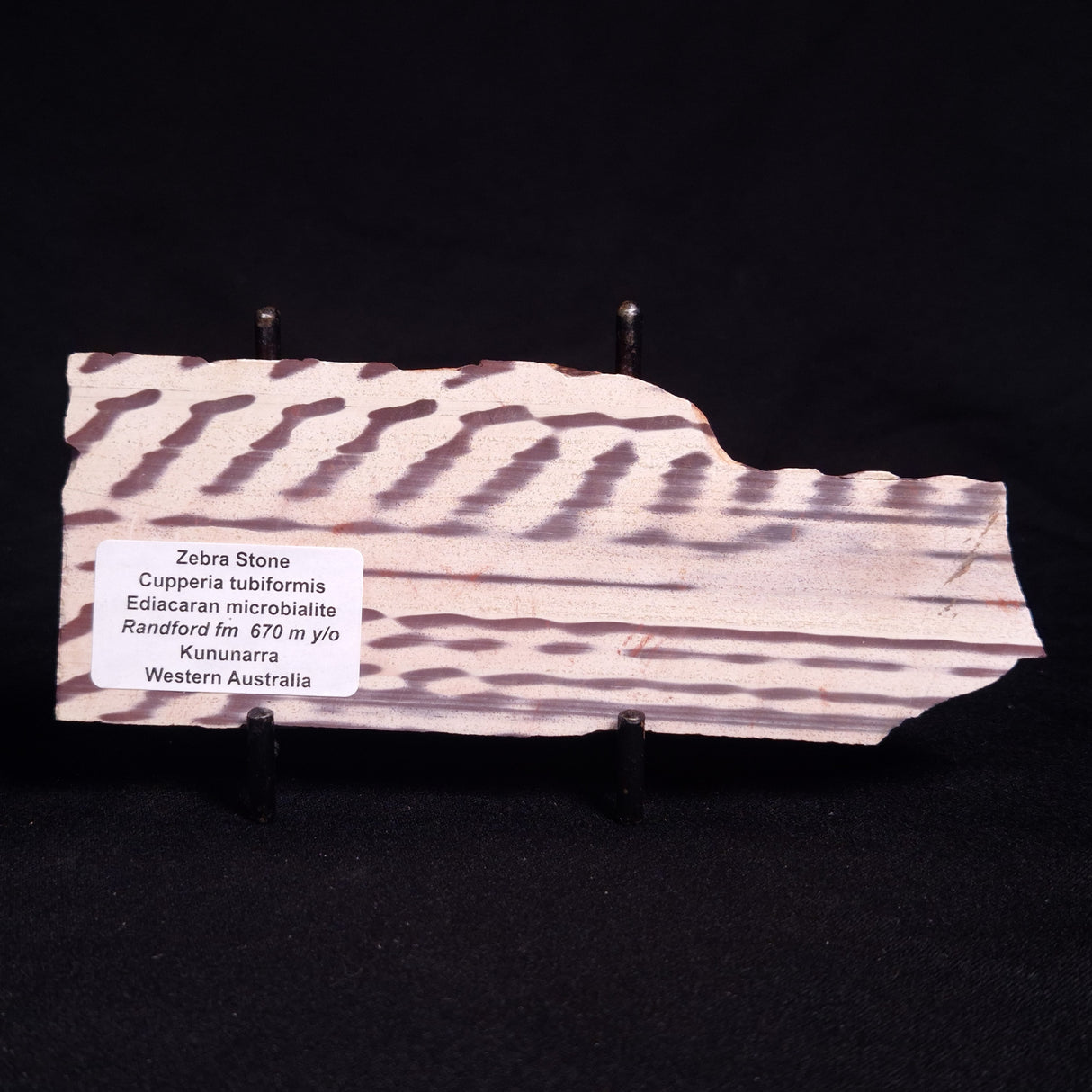 ZEBRA STONE, Australia ZZS014