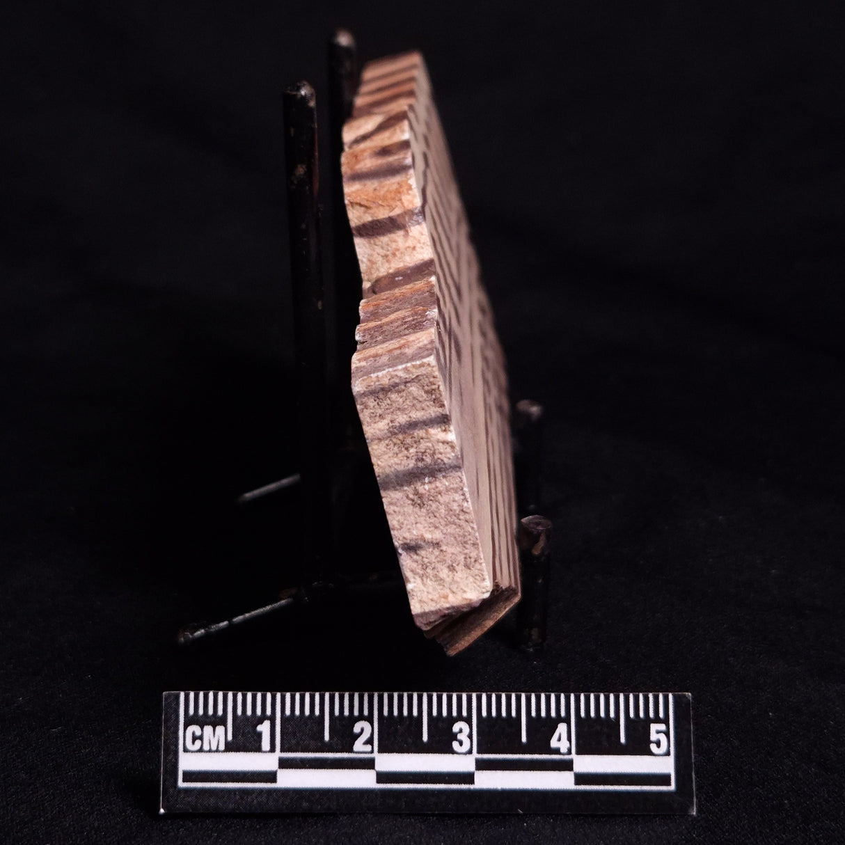 ZEBRA STONE, Australia ZZS014