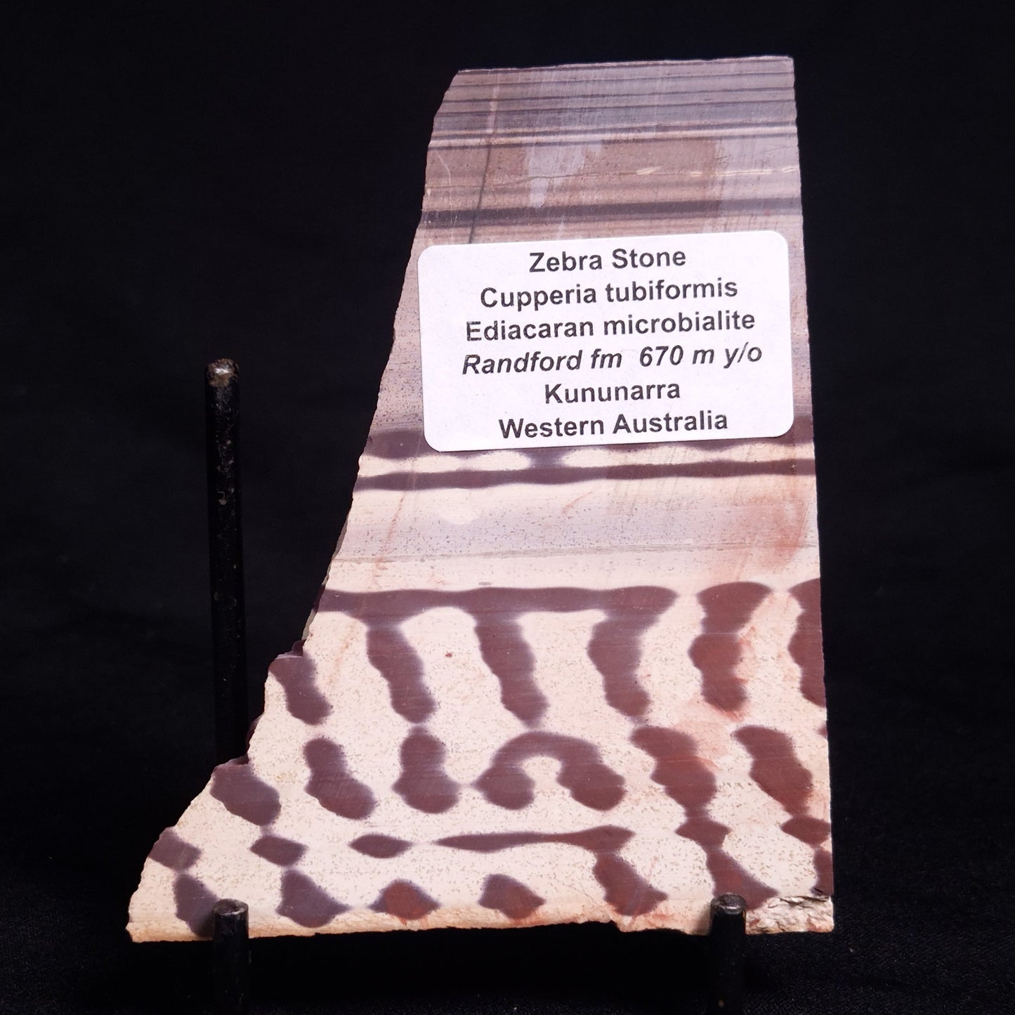ZEBRA STONE, Australia ZZS015
