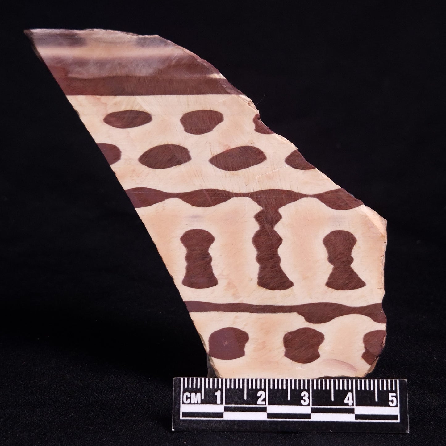 ZEBRA STONE, Australia ZZS016