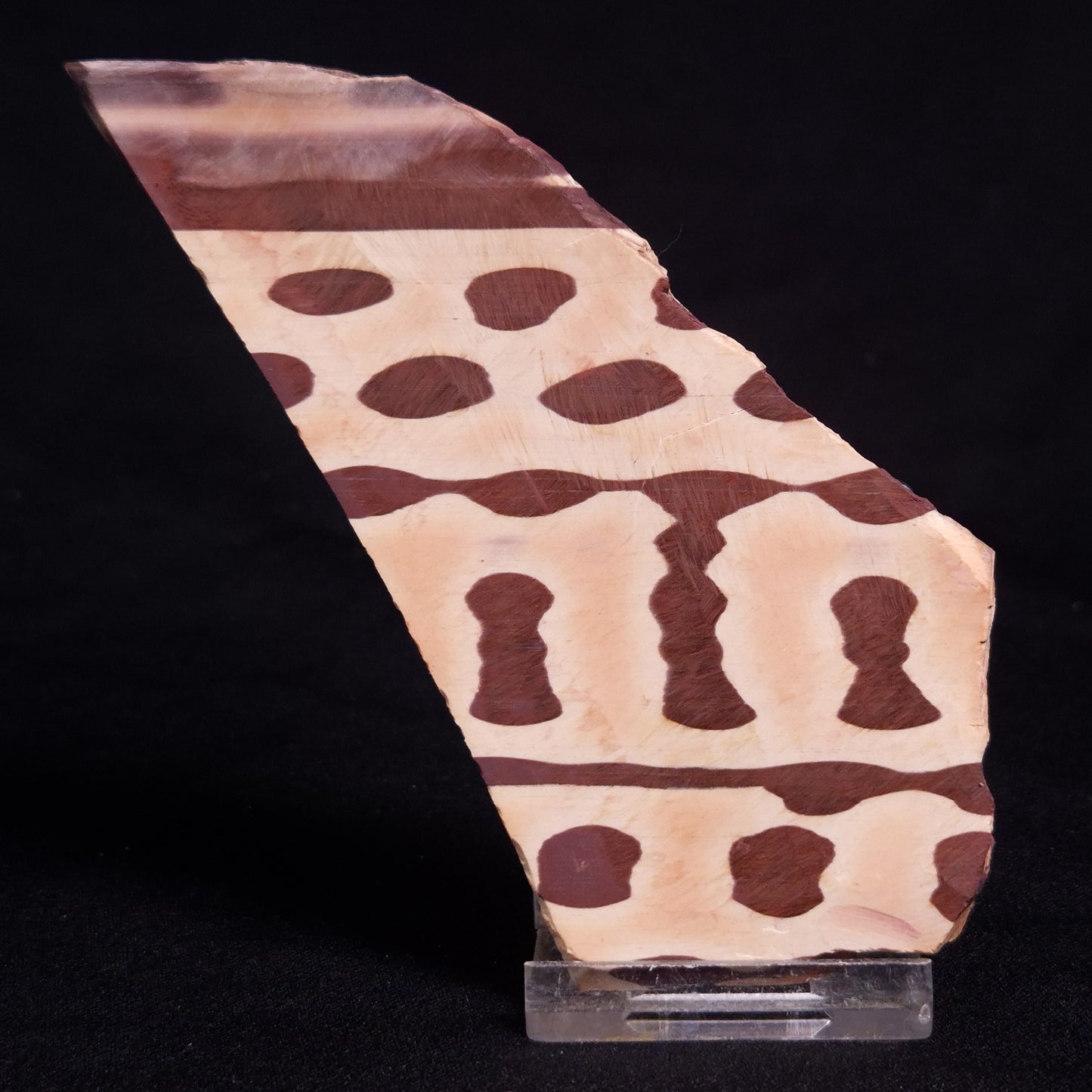 ZEBRA STONE, Australia ZZS016