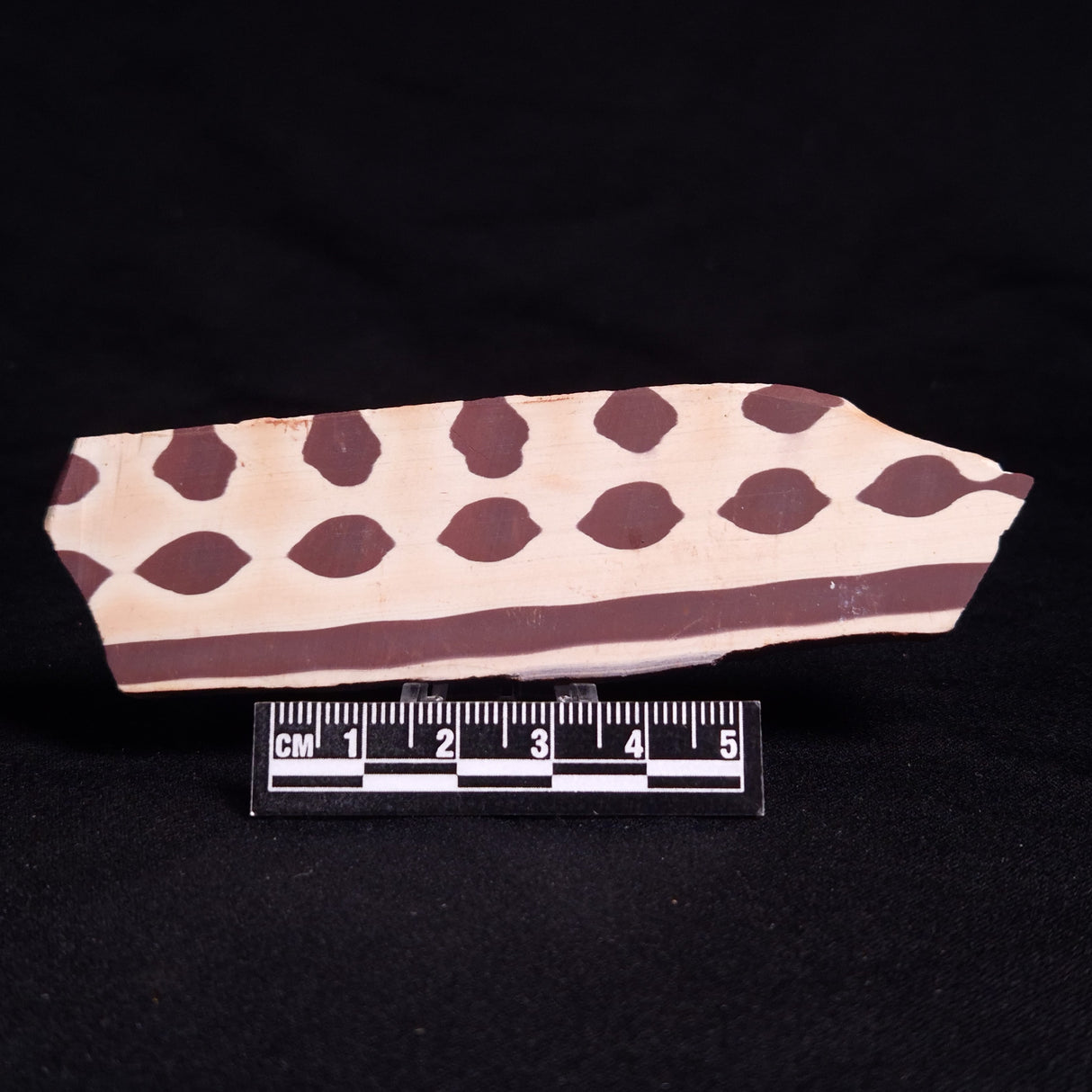 ZEBRA STONE, Australia ZZS017