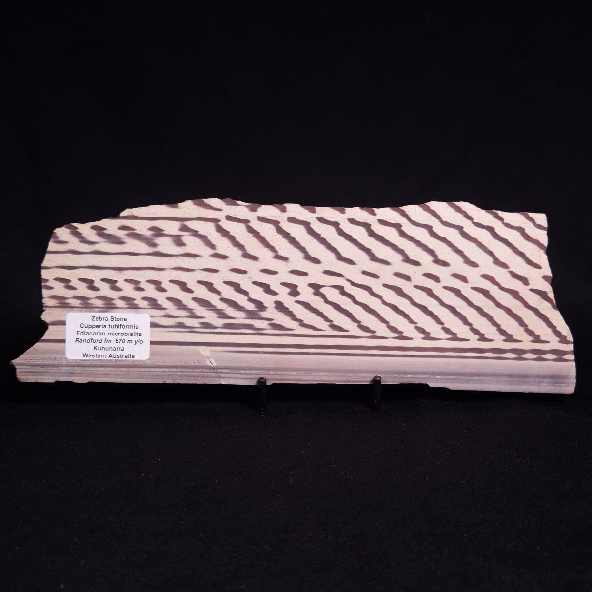 ZEBRA STONE, Australia ZZS018