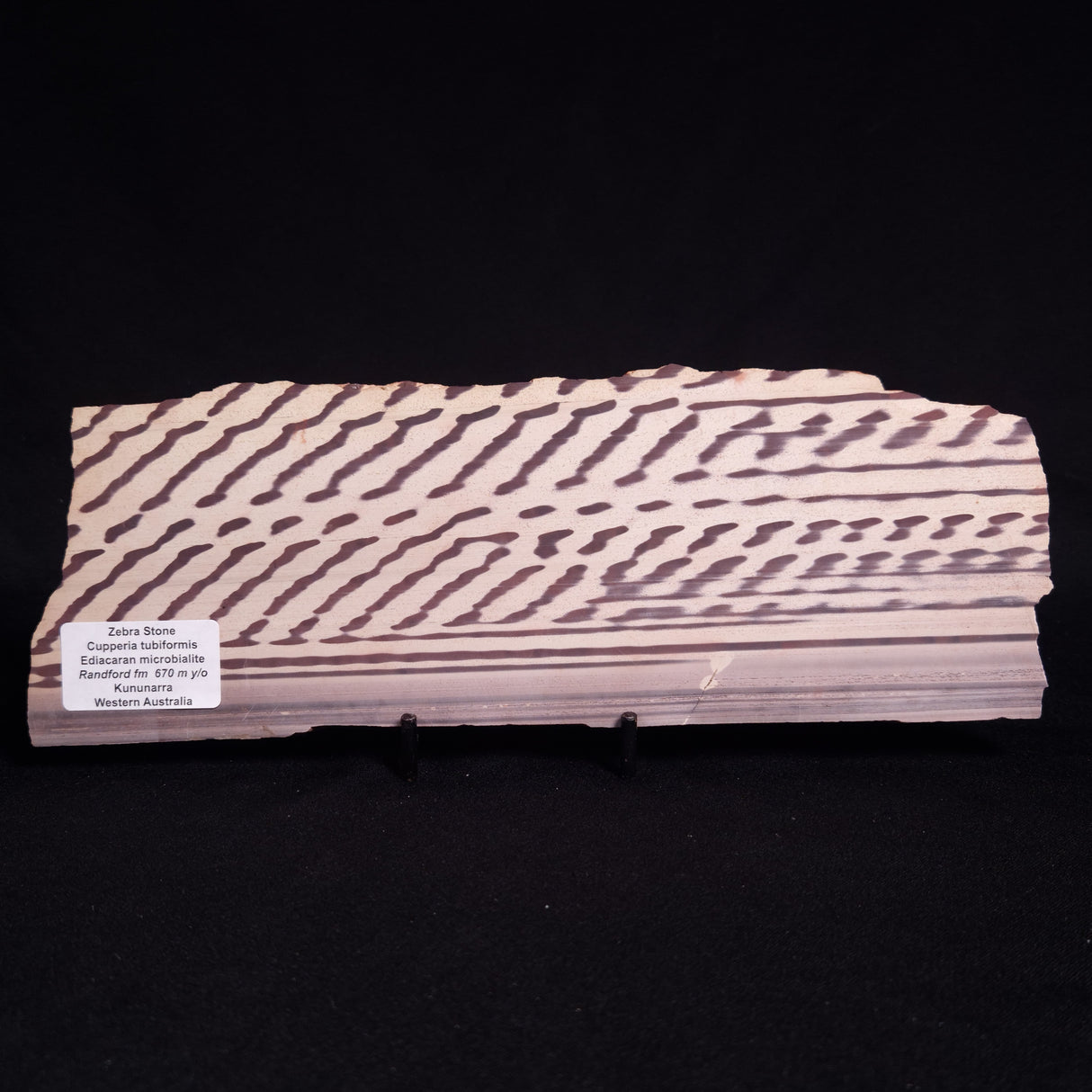 ZEBRA STONE, Australia ZZS020