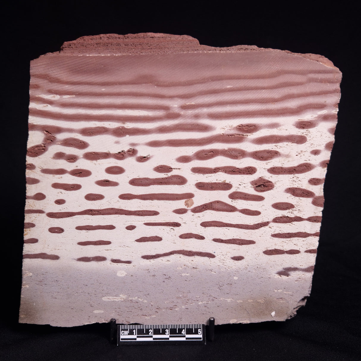 ZEBRA STONE, Australia ZZS022
