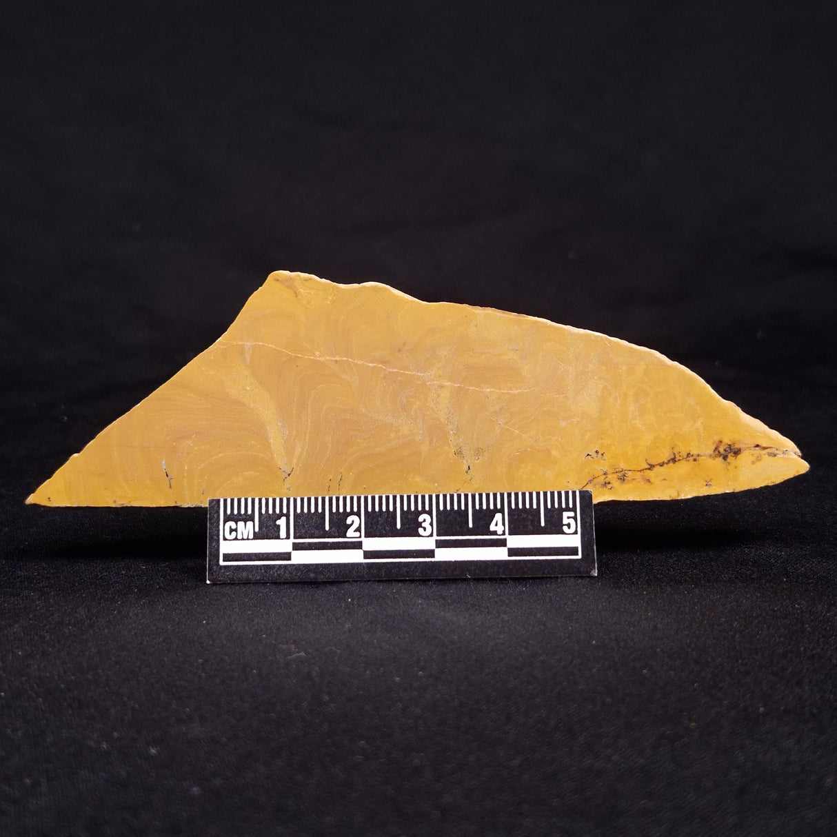 TUNGUSSIA INNA STROMATOLITE, Late Precambrian, Australia ZTG012