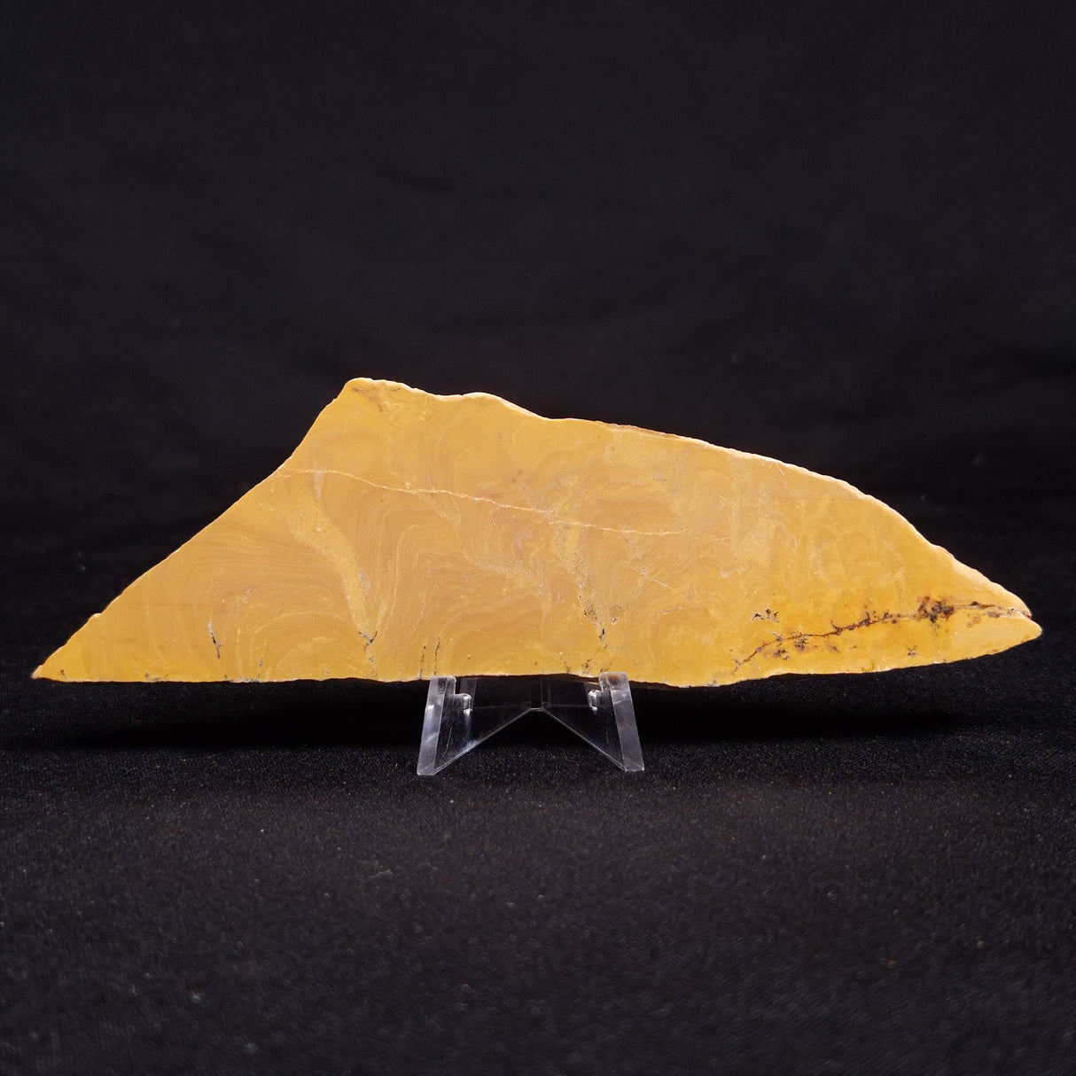 TUNGUSSIA INNA STROMATOLITE, Late Precambrian, Australia ZTG012