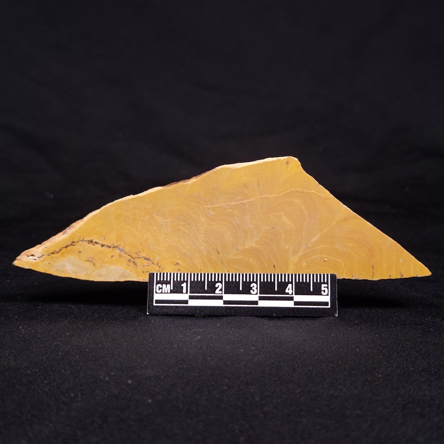 TUNGUSSIA INNA STROMATOLITE, Late Precambrian, Australia ZTG013