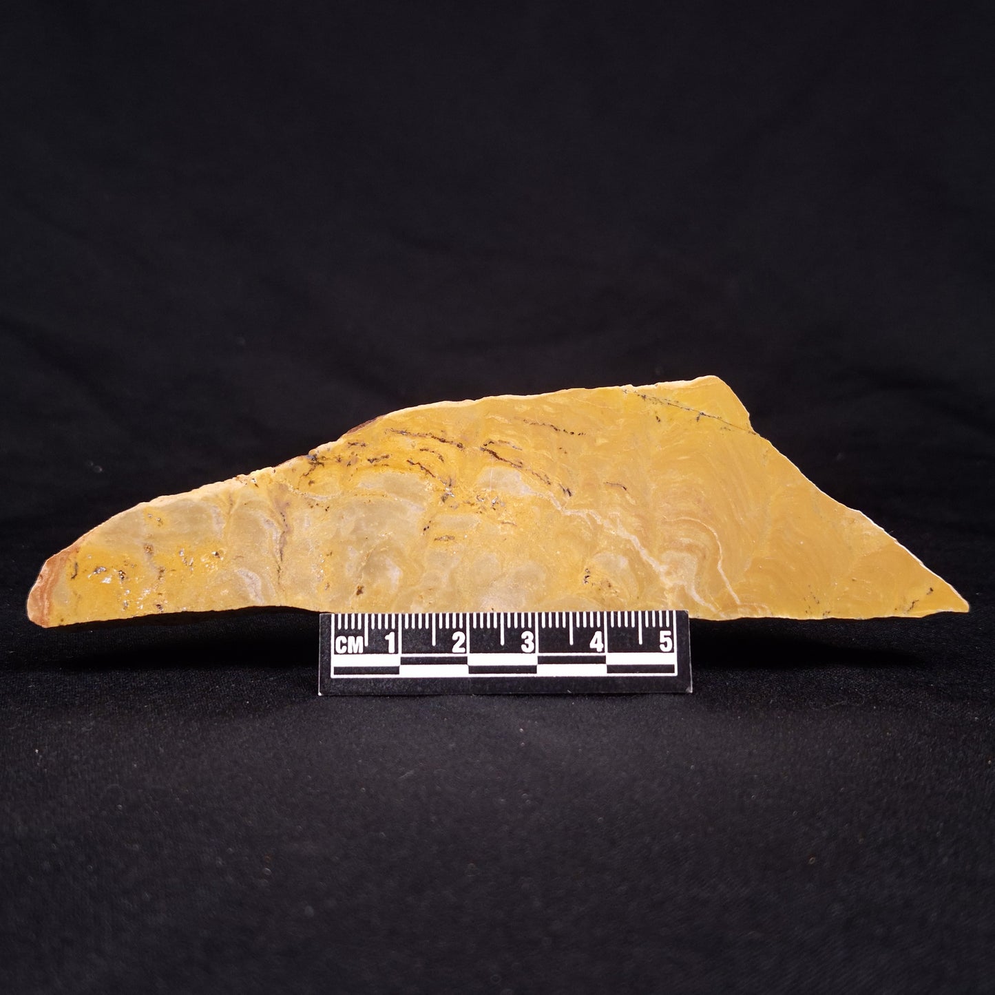 TUNGUSSIA INNA STROMATOLITE, Late Precambrian, Australia ZTG015